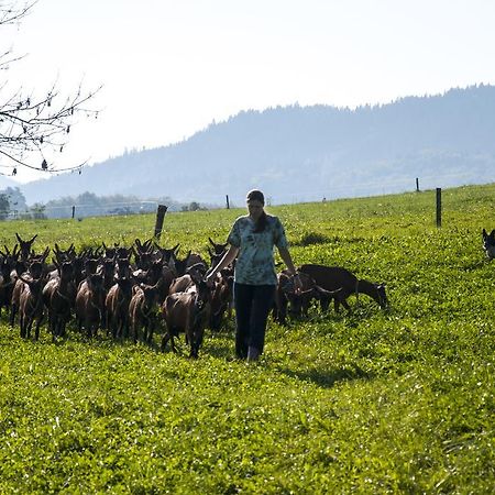 Agroturistika Kozi Farma Roznov Pod Radhostem 아파트 외부 사진