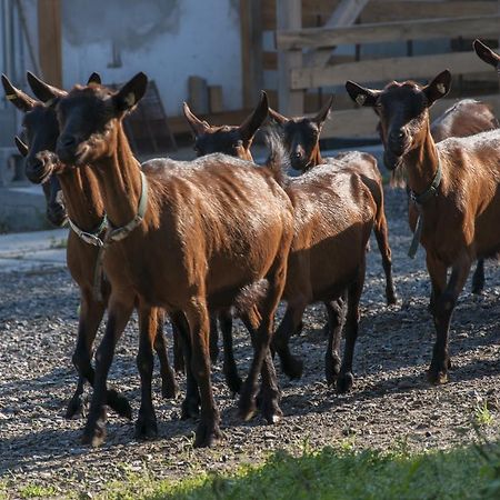 Agroturistika Kozi Farma Roznov Pod Radhostem 아파트 외부 사진